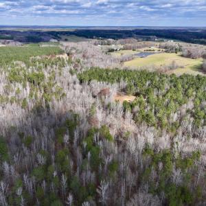 Photo #8 of SOLD property in Off Uzzle Road , Rougemont, NC 70.3 acres