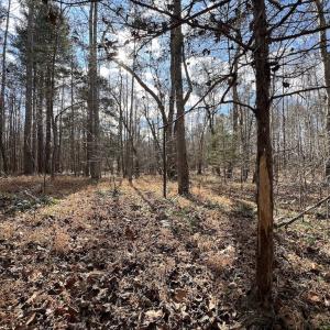 Photo #42 of SOLD property in Off Uzzle Road , Rougemont, NC 70.3 acres