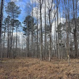 Photo #43 of SOLD property in Off Uzzle Road , Rougemont, NC 70.3 acres