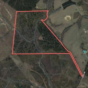 Photo #45 of SOLD property in Off Uzzle Road , Rougemont, NC 70.3 acres