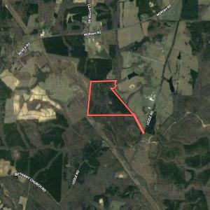 Photo #46 of SOLD property in Off Uzzle Road , Rougemont, NC 70.3 acres