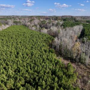 Photo #11 of Off Peachtree Hills Road, Spring Hope, NC 20.0 acres