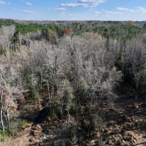 Photo #13 of Off Peachtree Hills Road, Spring Hope, NC 20.0 acres