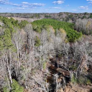 Photo #14 of Off Peachtree Hills Road, Spring Hope, NC 20.0 acres