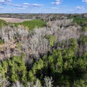 Photo #16 of Off Peachtree Hills Road, Spring Hope, NC 20.0 acres