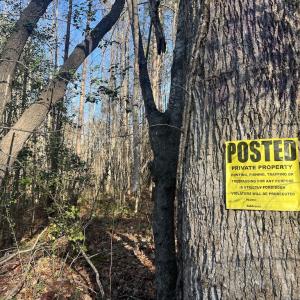 Photo #17 of Off Peachtree Hills Road, Spring Hope, NC 20.0 acres