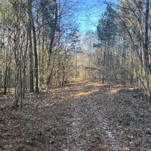Photo #18 of Off Peachtree Hills Road, Spring Hope, NC 20.0 acres