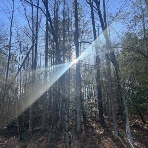 Photo #19 of Off Peachtree Hills Road, Spring Hope, NC 20.0 acres
