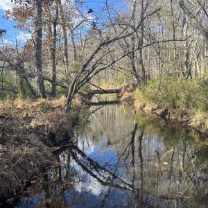 Photo #20 of Off Peachtree Hills Road, Spring Hope, NC 20.0 acres