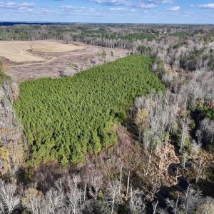 Photo #7 of Off Peachtree Hills Road, Spring Hope, NC 20.0 acres