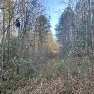 Photo #22 of Off Peachtree Hills Road, Spring Hope, NC 20.0 acres