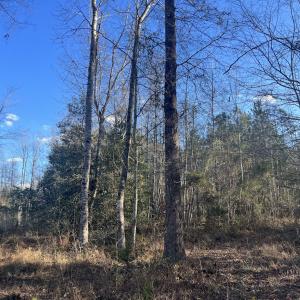 Photo #23 of Off Peachtree Hills Road, Spring Hope, NC 20.0 acres