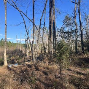 Photo #25 of Off Peachtree Hills Road, Spring Hope, NC 20.0 acres