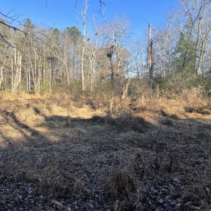 Photo #26 of Off Peachtree Hills Road, Spring Hope, NC 20.0 acres
