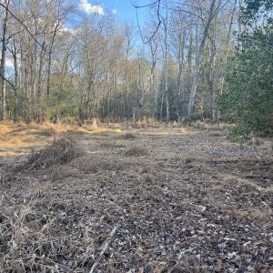 Photo #27 of Off Peachtree Hills Road, Spring Hope, NC 20.0 acres