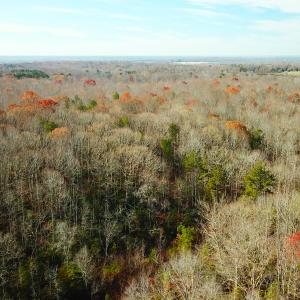 Photo #2 of SOLD property in Off Gera Rd, King George, VA 82.0 acres