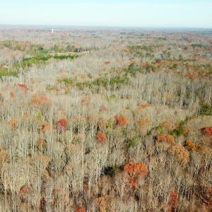 Photo #3 of SOLD property in Off Gera Rd, King George, VA 82.0 acres