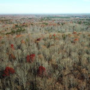 Photo #6 of SOLD property in Off Gera Rd, King George, VA 82.0 acres