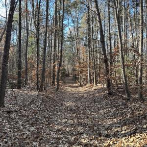 Photo #7 of SOLD property in Off Gera Rd, King George, VA 82.0 acres