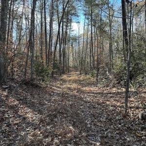 Photo #9 of SOLD property in Off Gera Rd, King George, VA 82.0 acres