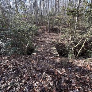 Photo #10 of SOLD property in Off Gera Rd, King George, VA 82.0 acres