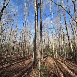 Photo #13 of SOLD property in Off Gera Rd, King George, VA 82.0 acres