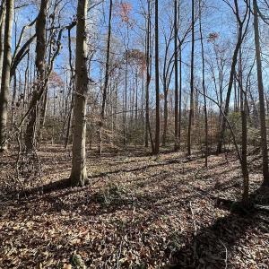 Photo #20 of SOLD property in Off Gera Rd, King George, VA 82.0 acres