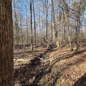 Photo #22 of SOLD property in Off Gera Rd, King George, VA 82.0 acres