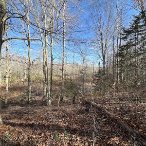 Photo #26 of SOLD property in Off Gera Rd, King George, VA 82.0 acres