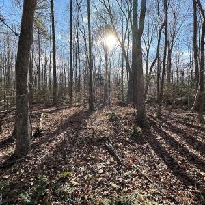 Photo #33 of SOLD property in Off Gera Rd, King George, VA 82.0 acres