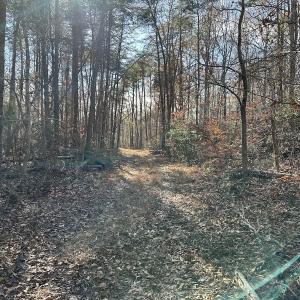 Photo #38 of SOLD property in Off Gera Rd, King George, VA 82.0 acres