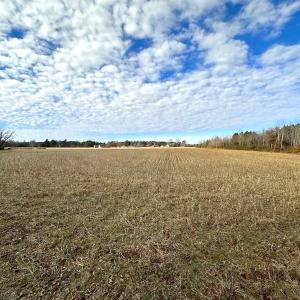 Photo #20 of Off Walters Hwy, Carrsville, VA 34.3 acres