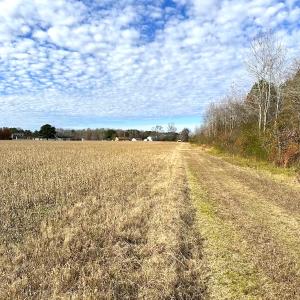 Photo #21 of Off Walters Hwy, Carrsville, VA 34.3 acres