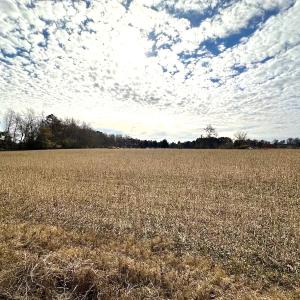 Photo #23 of Off Walters Hwy, Carrsville, VA 34.3 acres