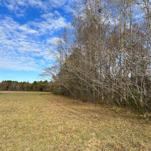 Photo #24 of Off Walters Hwy, Carrsville, VA 34.3 acres