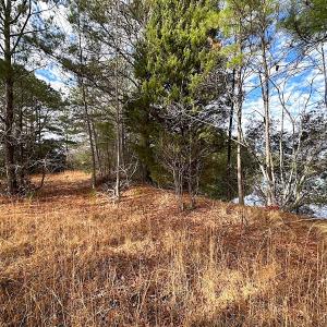 Photo #28 of Off Walters Hwy, Carrsville, VA 34.3 acres