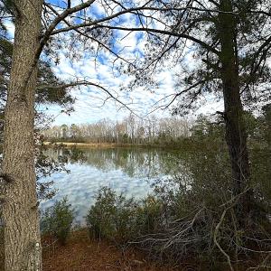 Photo #37 of Off Walters Hwy, Carrsville, VA 34.3 acres
