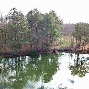 Photo #10 of Off Walters Hwy, Carrsville, VA 34.3 acres