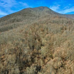 Photo #4 of SOLD property in 1373, 1397, 1398 Peaches N Cream Ln, Bedford, VA 122.2 acres