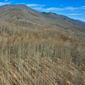 Photo #7 of SOLD property in 1373, 1397, 1398 Peaches N Cream Ln, Bedford, VA 122.2 acres