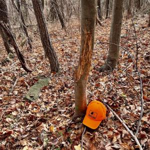 Photo #32 of SOLD property in 1373, 1397, 1398 Peaches N Cream Ln, Bedford, VA 122.2 acres