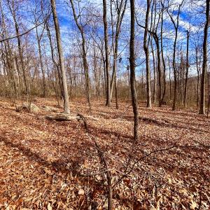 Photo #33 of SOLD property in 1373, 1397, 1398 Peaches N Cream Ln, Bedford, VA 122.2 acres