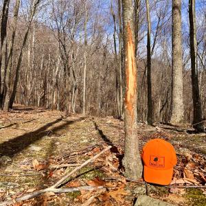 Photo #35 of SOLD property in 1373, 1397, 1398 Peaches N Cream Ln, Bedford, VA 122.2 acres