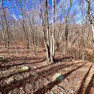 Photo #38 of SOLD property in 1373, 1397, 1398 Peaches N Cream Ln, Bedford, VA 122.2 acres