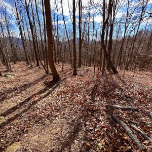 Photo #39 of SOLD property in 1373, 1397, 1398 Peaches N Cream Ln, Bedford, VA 122.2 acres