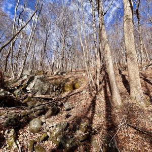 Photo #45 of SOLD property in 1373, 1397, 1398 Peaches N Cream Ln, Bedford, VA 122.2 acres