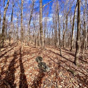 Photo #48 of SOLD property in 1373, 1397, 1398 Peaches N Cream Ln, Bedford, VA 122.2 acres