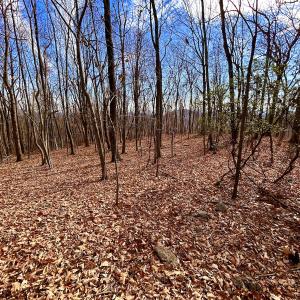 Photo #49 of SOLD property in 1373, 1397, 1398 Peaches N Cream Ln, Bedford, VA 122.2 acres