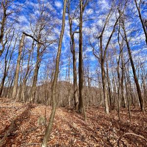 Photo #50 of SOLD property in 1373, 1397, 1398 Peaches N Cream Ln, Bedford, VA 122.2 acres