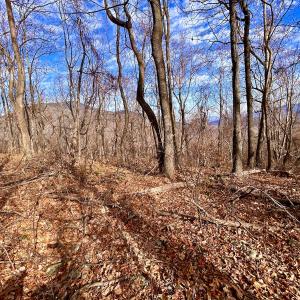 Photo #51 of SOLD property in 1373, 1397, 1398 Peaches N Cream Ln, Bedford, VA 122.2 acres